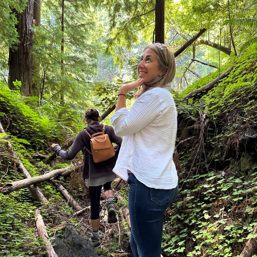 Mendocino Woods