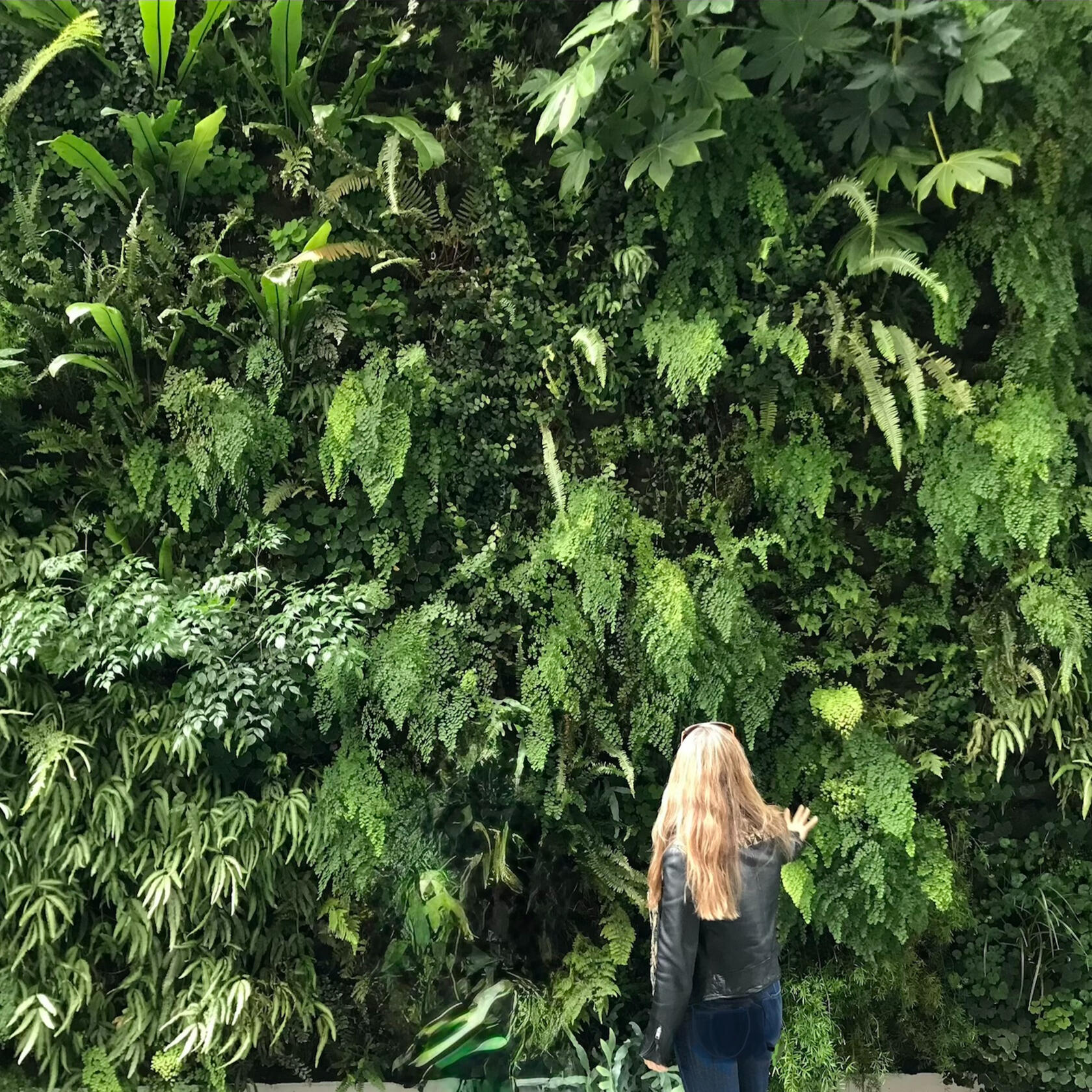 Julie
